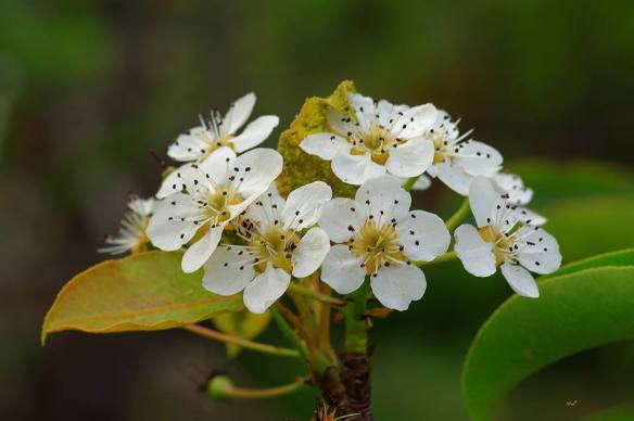 140316 Li Jia Yong 56
