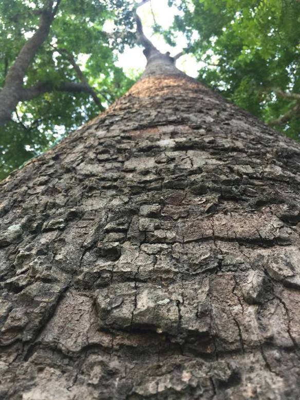 290316 Lin Ming Hui 3