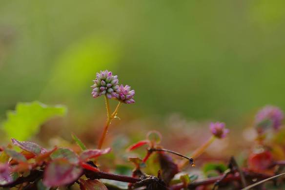 010416 Li Jia Yong 57