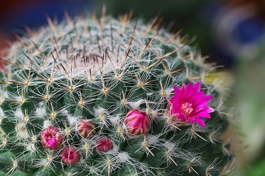 200416 Li Jia Yong 57