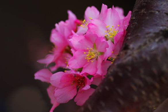 270416 Li Jia Yong 57