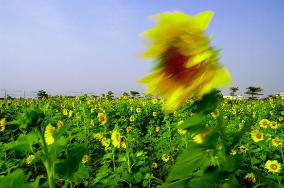 110516 Li Jia Yong 55