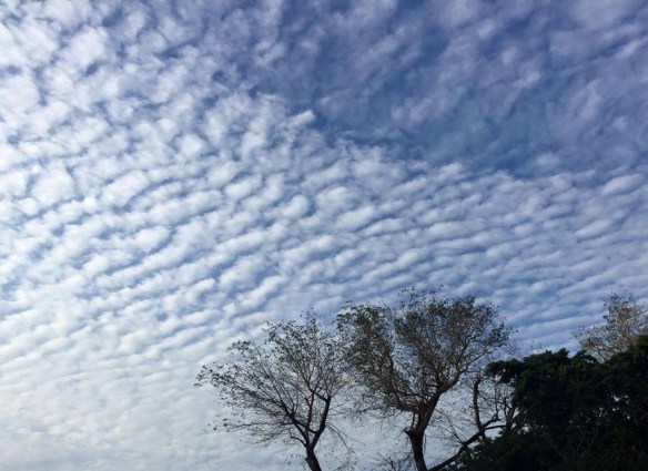 110616 Lin Yun Yun 56