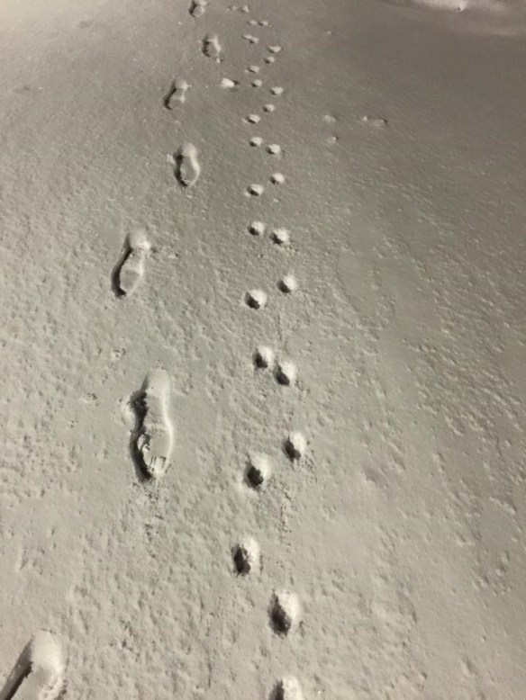 130616 Lin Ming Hui 1