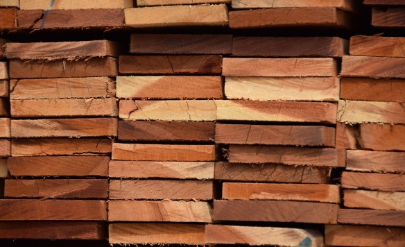 220616 ckh 99 DSC_0035