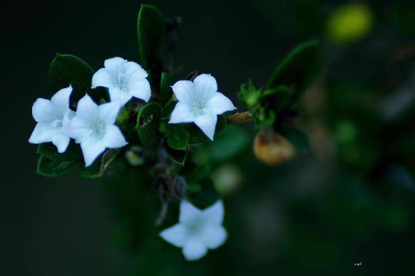 230616 Li Jia Yong 35