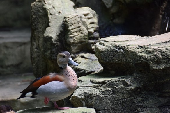 240616 ckh 106 DSC_0110