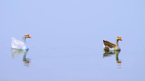 070716 Li Jia Yong 60