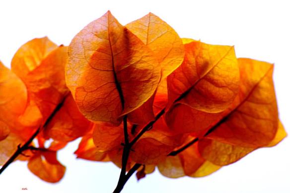 180716 Li Jia Yong 42