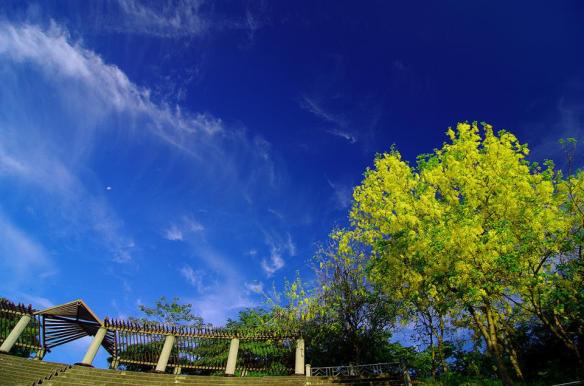 190716 Li Jia Yong 58