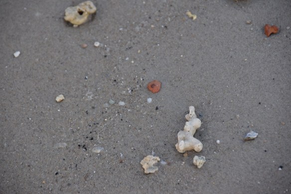 020816 ckh 117 DSC_0092