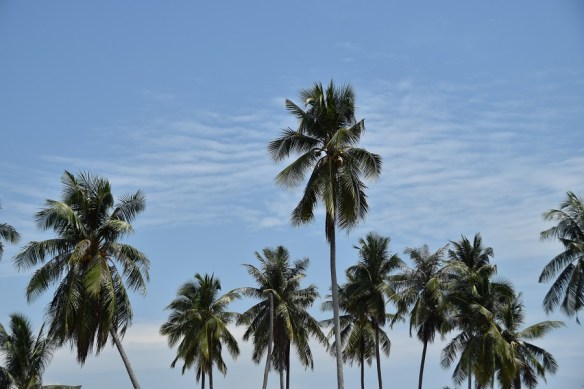 040816 ckh 124 DSC_0145