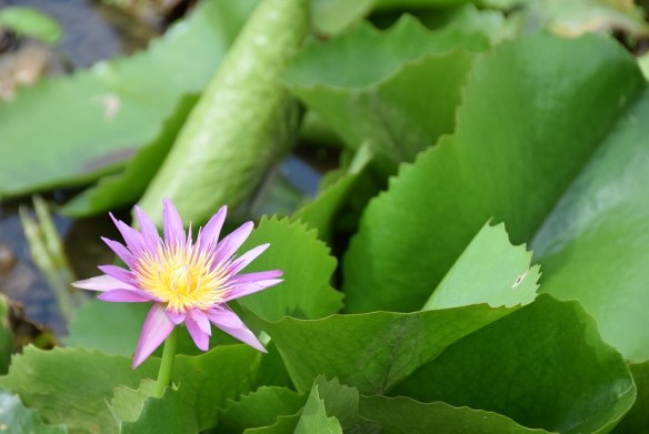 200816 ckh 123 DSC_0141