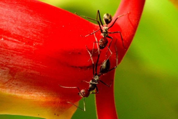 300816 Key Liu Poh Key