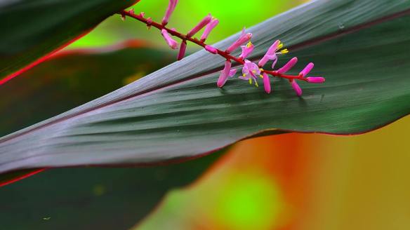 140916-li-jia-yong-62