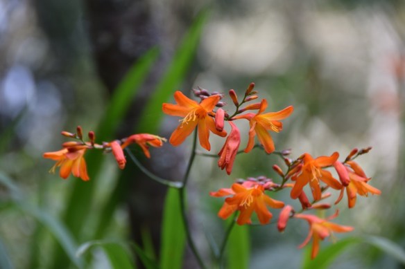 011016-ckh-126-dsc_0445