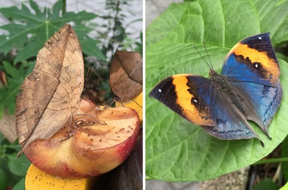 211016-yang-xiaohong