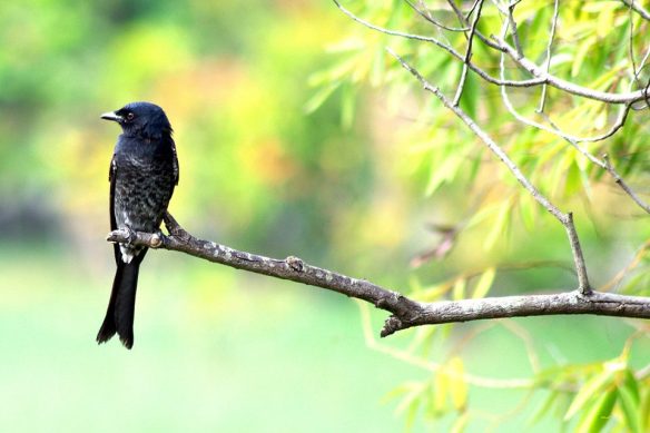 021116-li-jia-yong-62