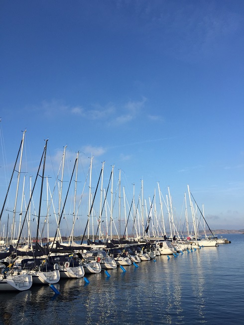 071116-lin-ming-hui-7