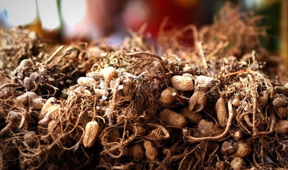 251116-key-liu-poh-key-1