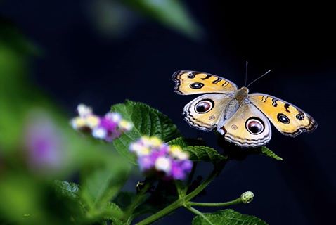 301116-li-jia-yong-63