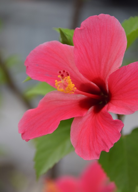 031216-ckh-139-dsc_0598