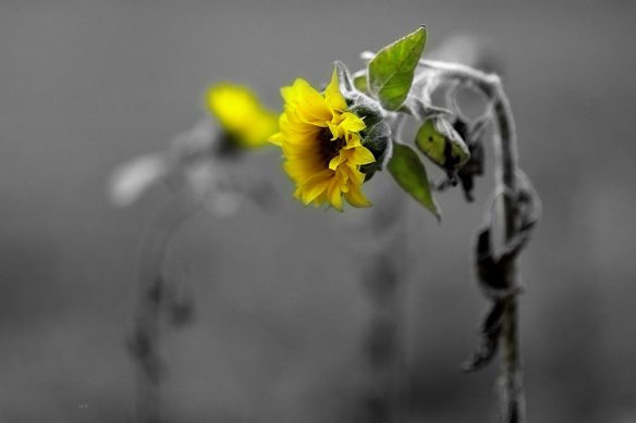 061216-li-jia-yong-64