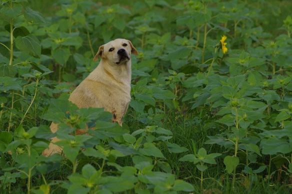 201216-li-jia-yong-65