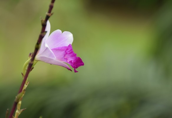 291216-ckh-147-dsc_0766