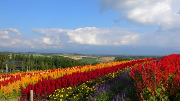 060217-lin-yun-yun-46