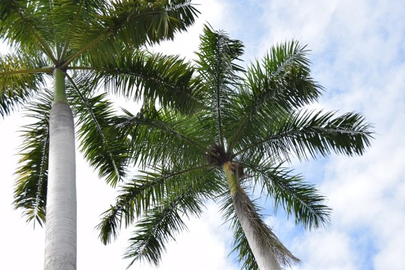 210217-ckh-149-dsc_1000